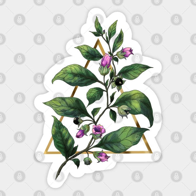 Deadly nightshade Sticker by Sitenkova